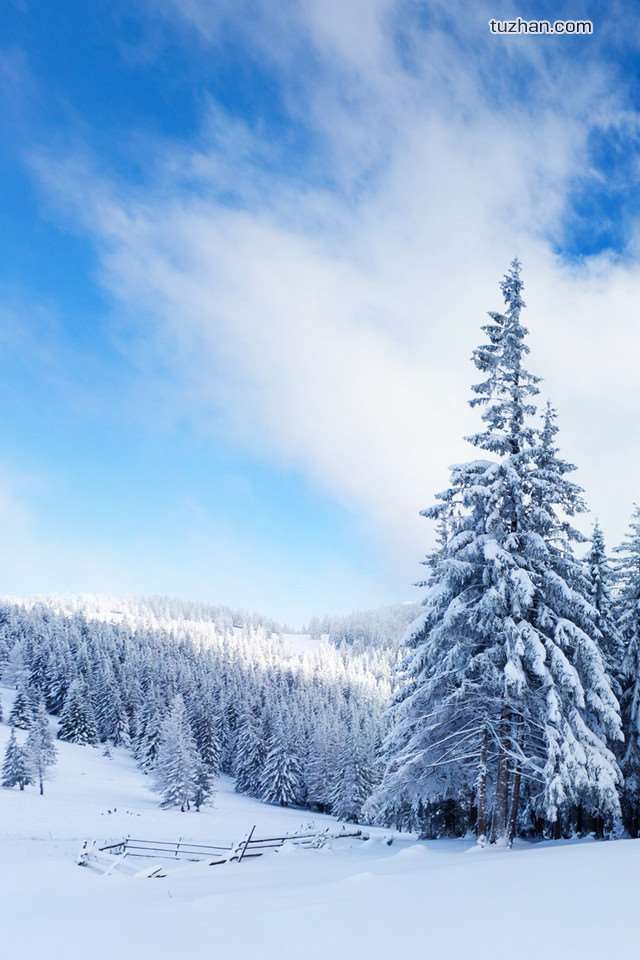 手机雪景高清晰图片