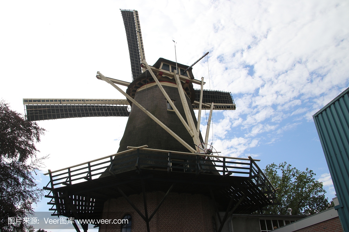 摄影,海尔德兰,工作,荷兰