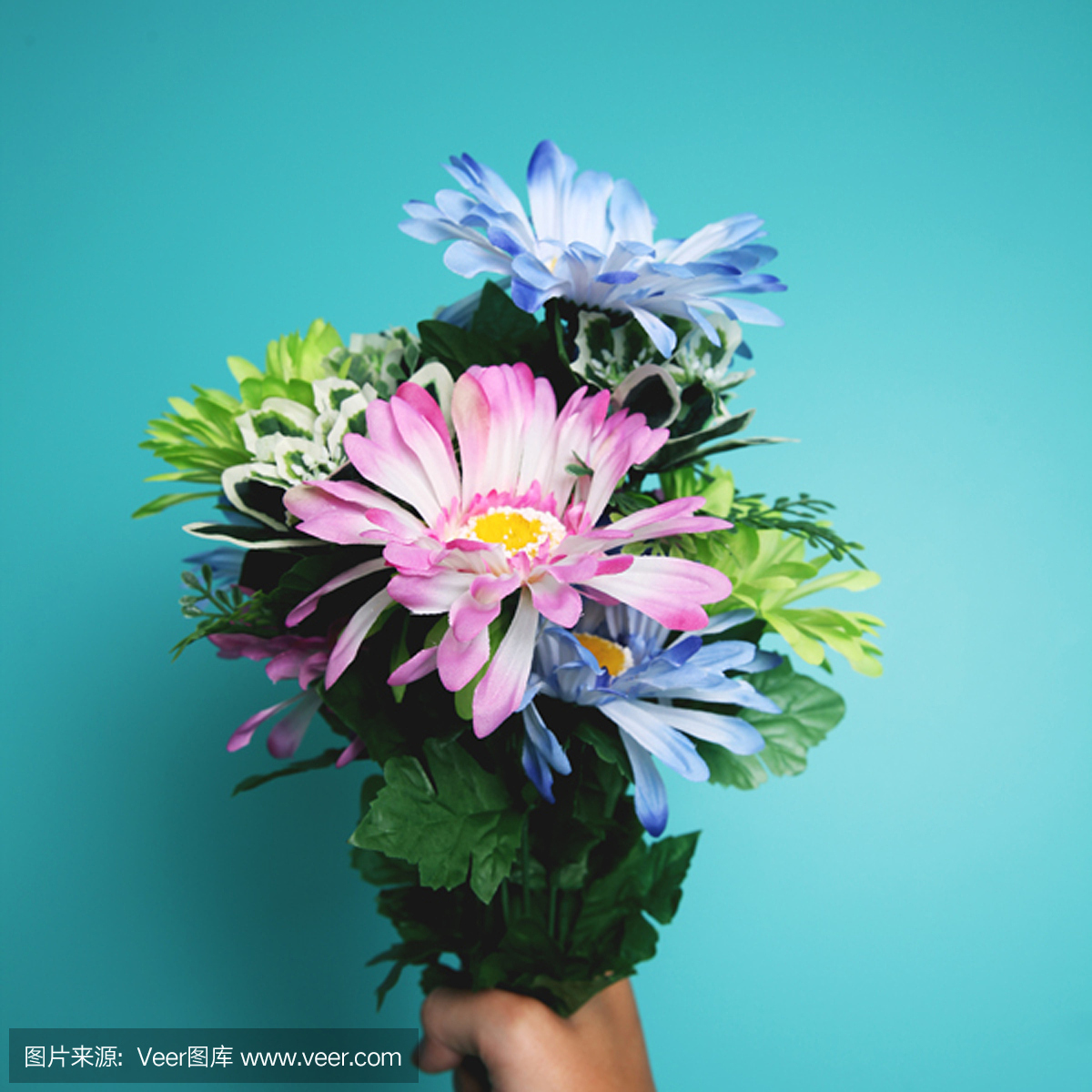 自然,花,人,塑胶