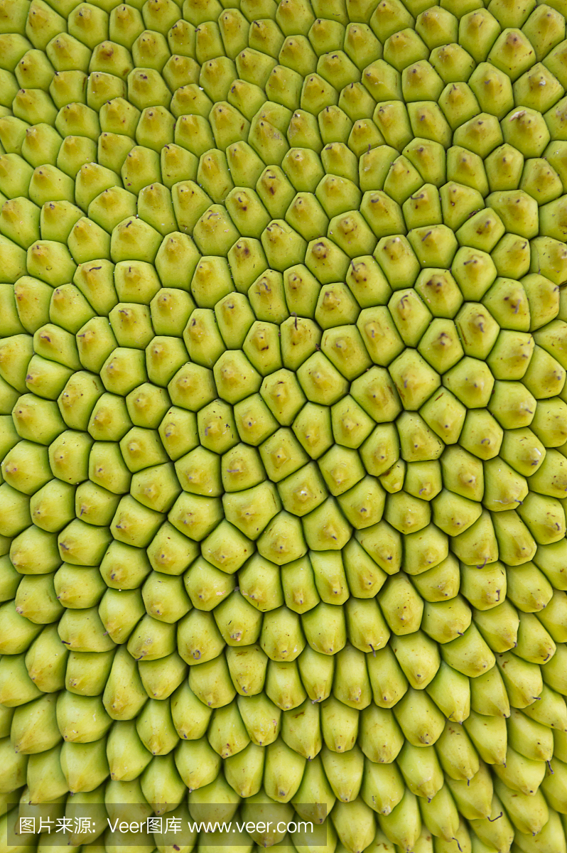 纹理菠萝蜜果皮有刺背景