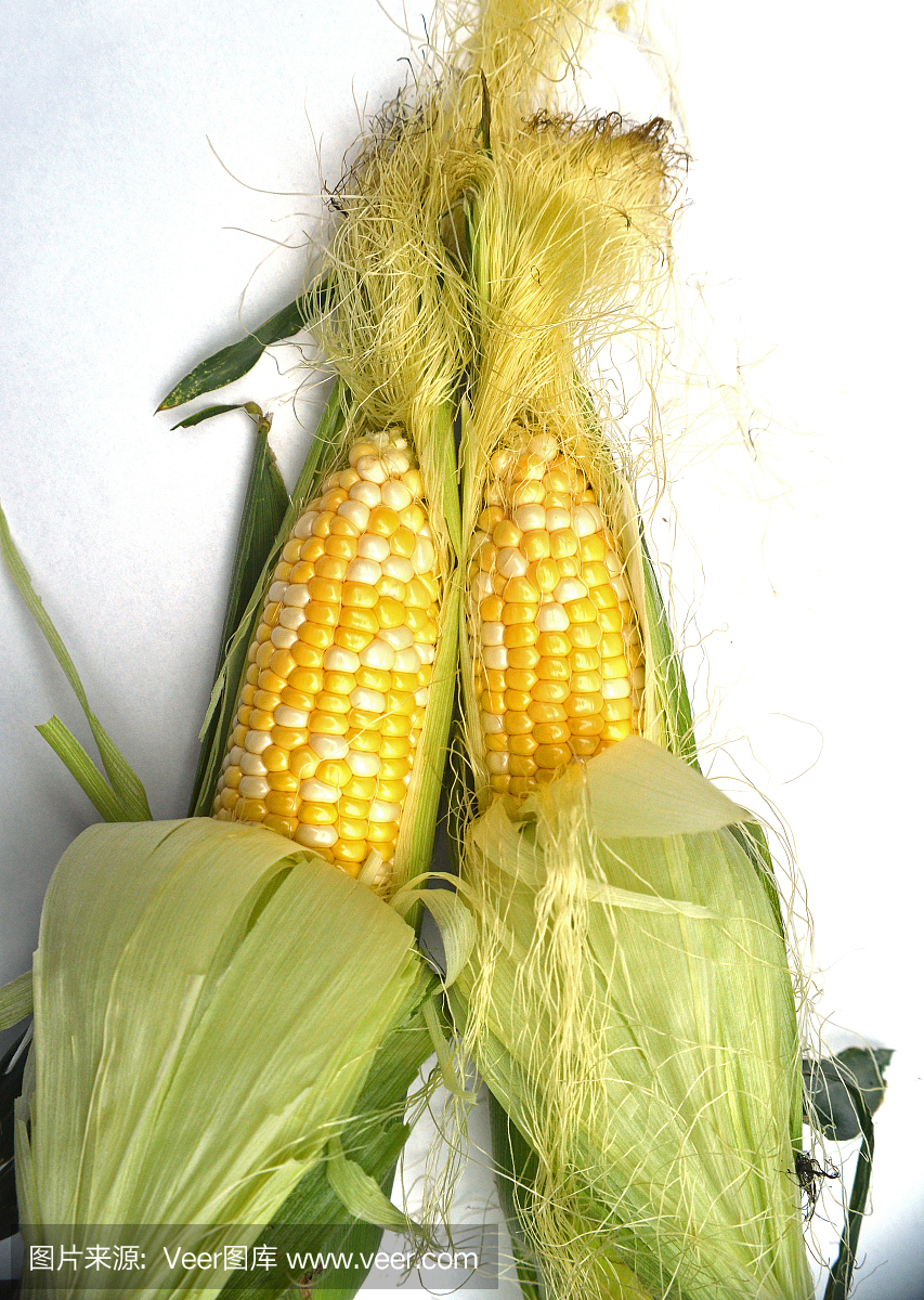 老玉米,玉米棒,玉米棒子,穗