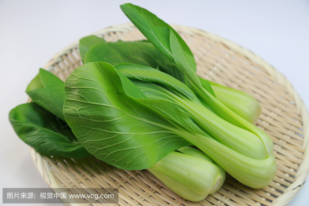 油菜,小白菜,上海青,特写