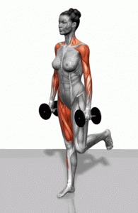 腹部肌肉锻炼要领图解-追梦健身网